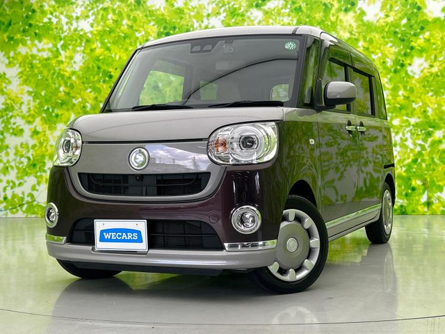 ムーヴキャンバス G メイクアップ リミテッド SAIII 