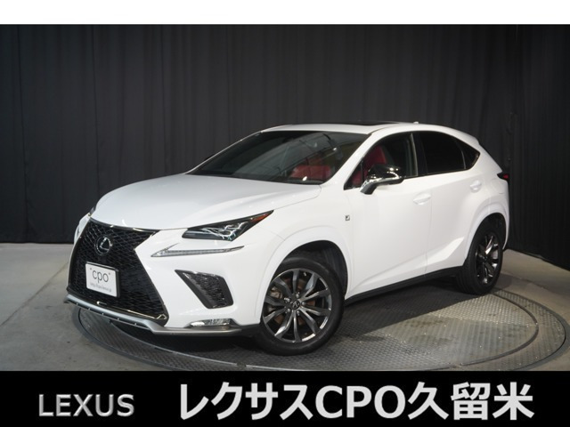 NX 300 Fスポーツ 