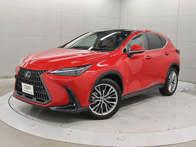 NX 250 バージョンL NX 250 バージョンL