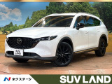 10型ナビ フルセグTV 全周囲カメラ ルーフレール 衝突軽減 BSM
