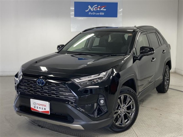 RAV4 2.5 ハイブリッド G E-Four 4WD （6AA-AXAH54）