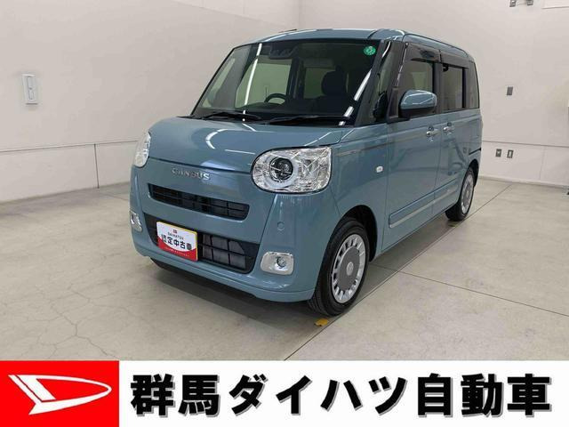 ムーヴキャンバス セオリー G