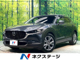禁煙車 衝突軽減 レーダークルーズ 純正ナビ バックカメラ フルセグTV
