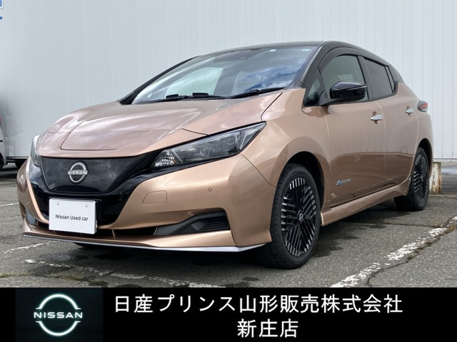 リーフ e+ X 