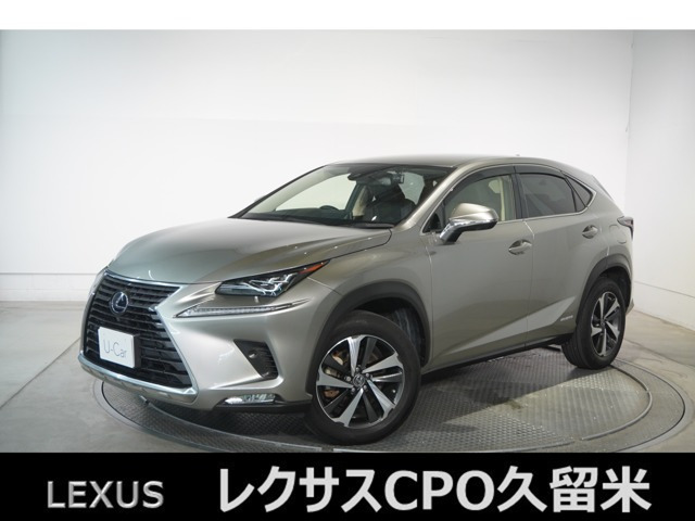 NX 300h Iパッケージ 
