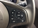 アクセルから足を離しても設定したスピードを保ち走行し、高速道路での疲労軽減に役立つクルーズコントロール付きです!