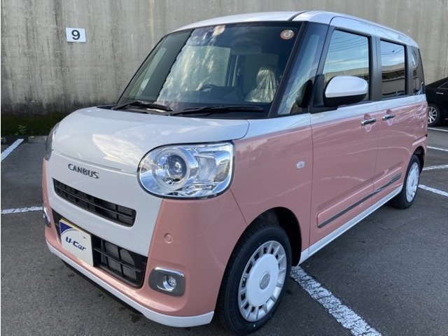 ムーヴキャンバス  ストライプス G