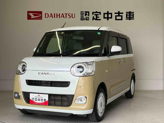ムーヴキャンバス  ストライプス G