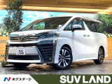 サンルーフ BIG-X11型ナビ バックカメラ レーダークルーズ