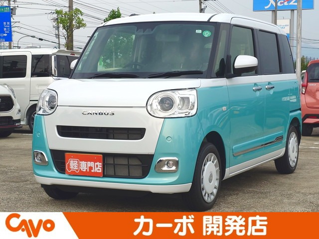 ムーヴキャンバス  ストライプス G