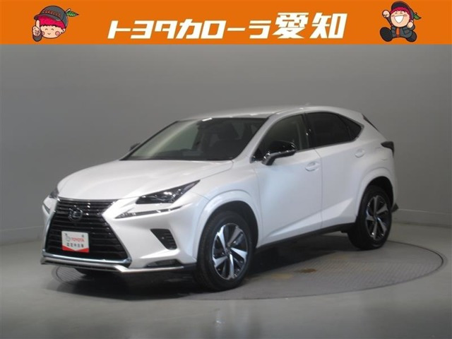 NX 300 スパイス&シック