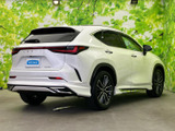 NX 250 バージョンL 