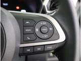 パワーモード搭載です。クルーズコントロール操作スイッチ