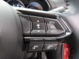 前車追従機能付きのレーダークルーズを備えています。自動で車間距離を調整してくれますので、アクセル操作の疲労軽減に繋がります。特に長距離を帰省される方にはお奨めですよ。