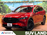 純正10型ナビ 全周囲カメラ ブラインドスポットモニター 電動リアゲート