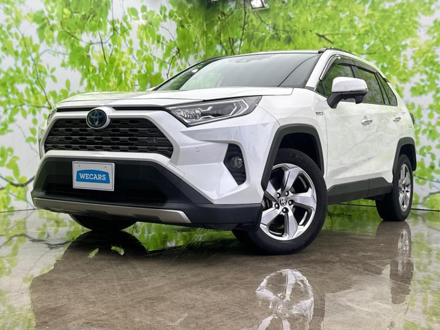 RAV42.5 ハイブリッド G E-Four 4WD