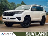 9型SDナビ 寒冷地仕様 シートベンチレーション ルーフレール