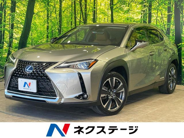 UX250h バージョンL