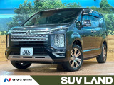 禁煙車 両側パワスラ BIGX10型ナビ フルセグ ブラインドスポット