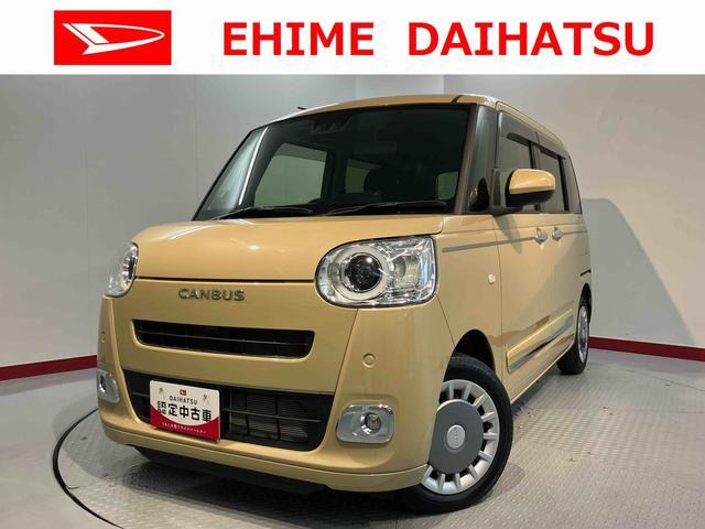 ムーヴキャンバス  セオリー G