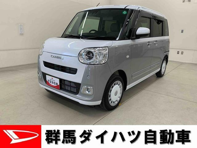 ムーヴキャンバス  ストライプス G