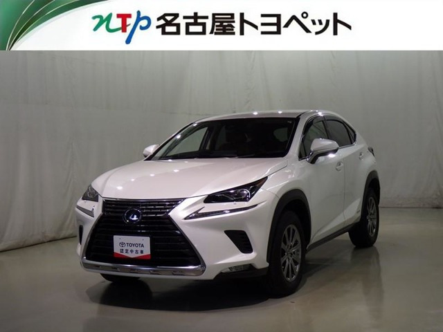 NX 300h Iパッケージ 