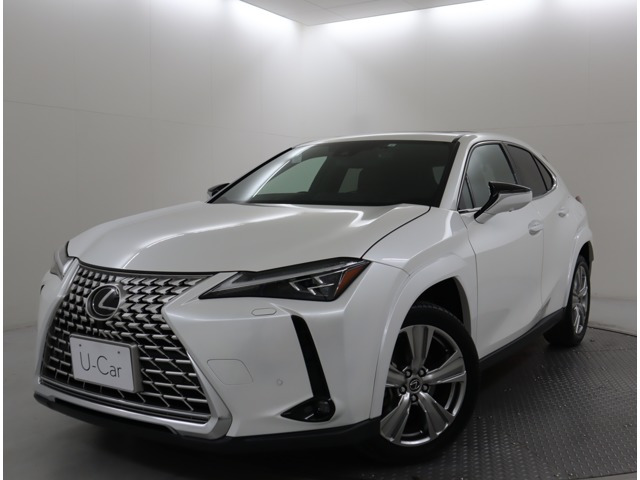 UX250h グレイスフル エクスプローラー