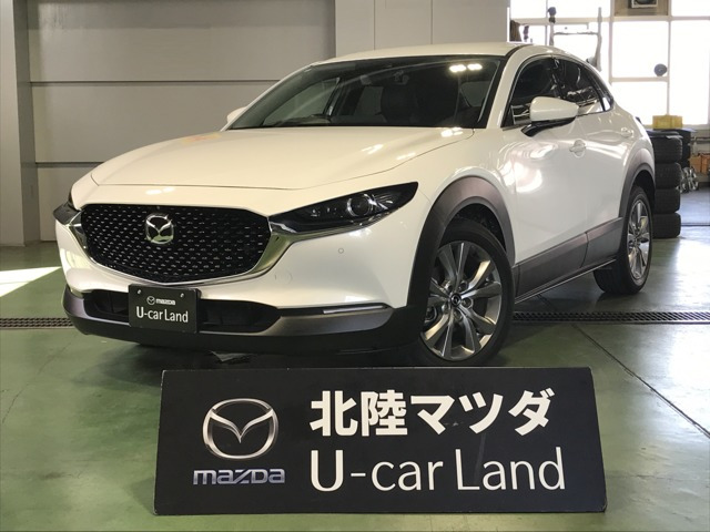 CX-302.0 20S Lパッケージ 4WD