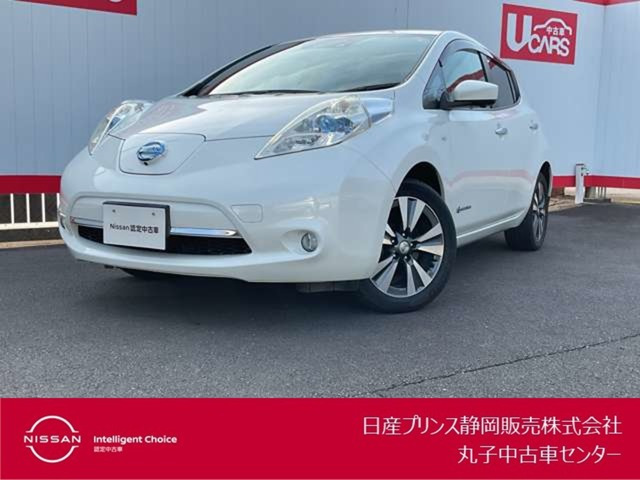 リーフ30kWh G