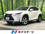 純正ナビ・全周囲カメラ・クルーズコントロール・ブラインドスポットモニター