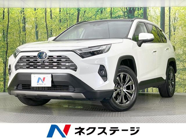RAV4 2.5 ハイブリッド G E-Four 4WD （6AA-AXAH54）
