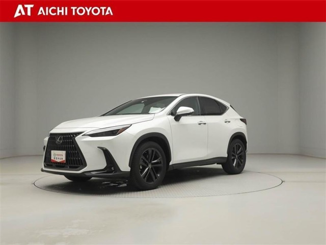 NX 250 バージョンL NX 250 バージョンL