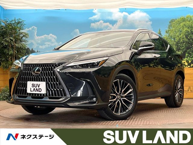 NX350h バージョンL