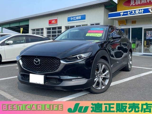 CX-302.0 20S 4WD