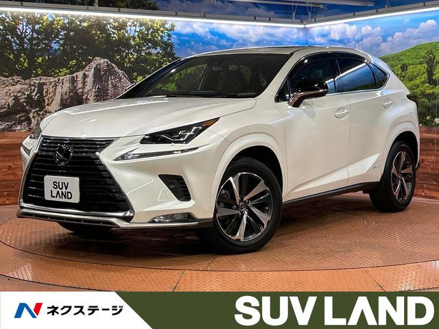 NX300h スパイス&シック