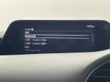 【フルセグTV/BlueTooth/CD/DVD/USB】