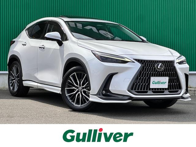 NX 250 バージョンL 本革シート サンルーフ