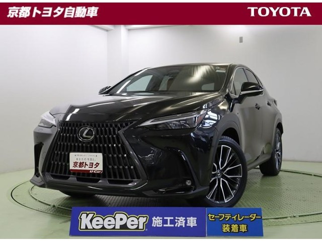 NX 250 バージョンL NX 250 バージョンL