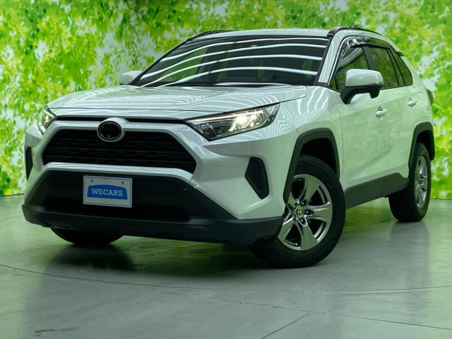 RAV42.0 X