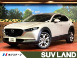 360°ビューモニター メーカーナビ レーダークルーズコントロール 純正