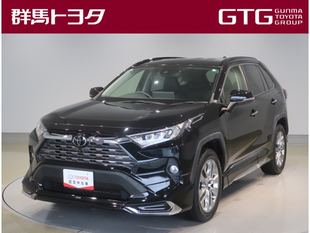 RAV4  2.0 G Zパッケージ 4WD