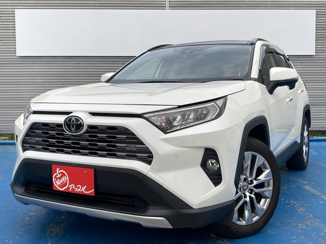 RAV4  2.0 G Zパッケージ 4WD