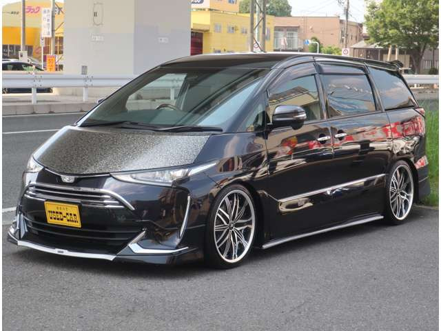 「エスティマさん専用」ニューモ エスティマ 50 アエラス 専用 サイドガーニッシュ 4PCS（トヨタ