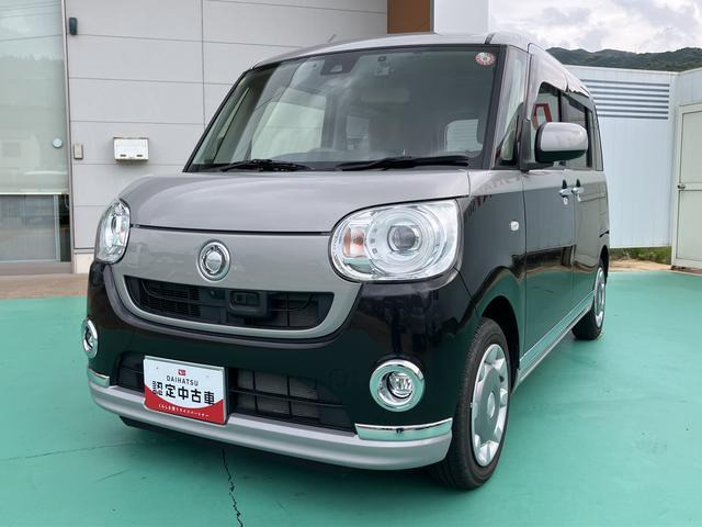 ムーヴキャンバス G メイクアップ SAII 