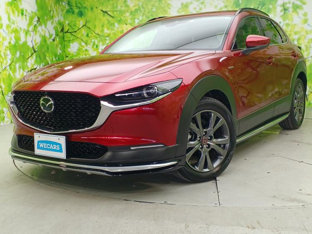 CX-301.8 XD 100周年特別記念車 4WD