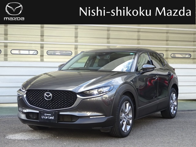 CX-30 2.0 20S Lパッケージ 