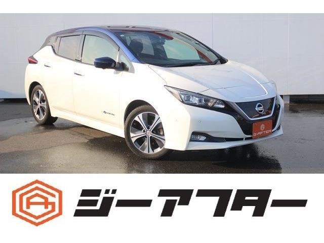 リーフGOP2トーン純正ナビ360°カメラTVプロパイ