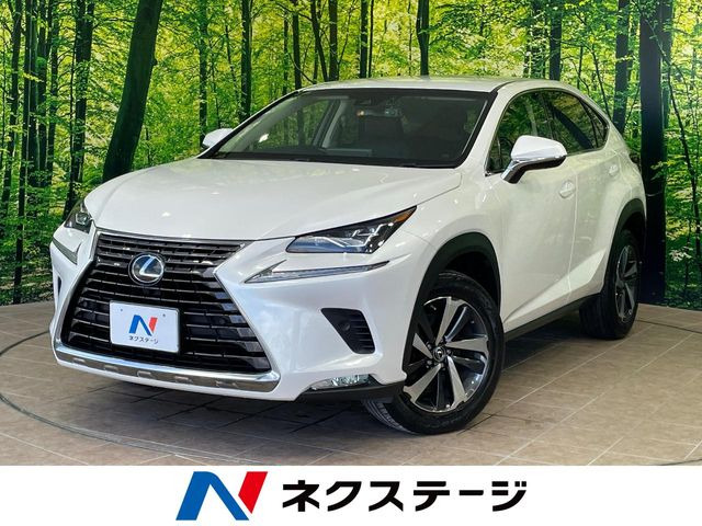 NX300 バージョンL
