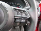 レーダークルーズコントロールを装備。アクセルやブレーキを操作しなくても、自動で先行車との車間距離を保ち追従走行できます。長距離や高速道路を運転する際に、ドライバーへの負担を軽減します。