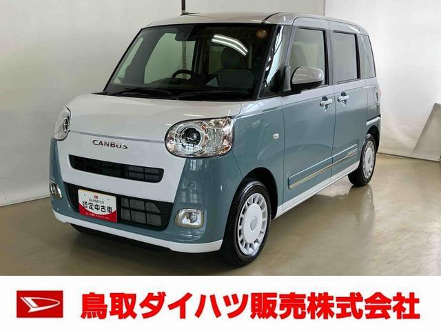 ムーヴキャンバス  ストライプス G